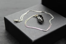 Load image into Gallery viewer, Campo Del Cielo Whole Iron Meteorite Pendant