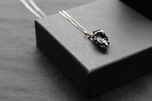 Load image into Gallery viewer, Campo Del Cielo Whole Iron Meteorite Pendant