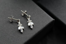 Load image into Gallery viewer, Cubic Zirconia Delicate Drop Earrings