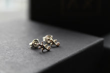 Load image into Gallery viewer, Cubic Zirconia Gecko Studs