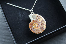 Load image into Gallery viewer, Fossil Ammonite Slice Necklace