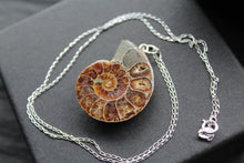 Load image into Gallery viewer, Fossil Ammonite Slice Necklace