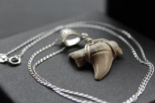 Load image into Gallery viewer, Fossil Shark Tooth Pendant