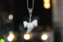 Load image into Gallery viewer, Fossil Shark Tooth Pendant