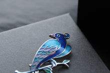 Load image into Gallery viewer, Bird of Paradise Enamel &amp; Silver Brooch
