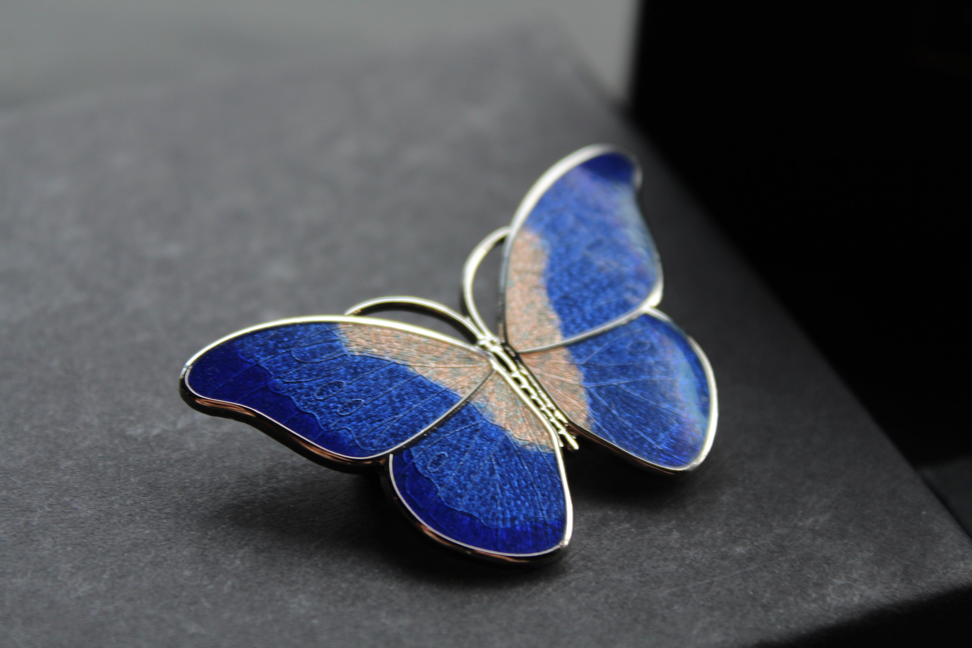 Butterfly Brooch
