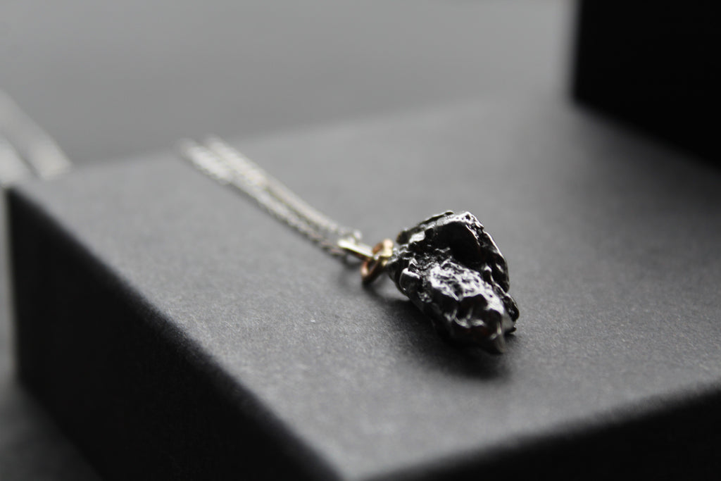 Campo Del Cielo Whole Iron Meteorite Pendant