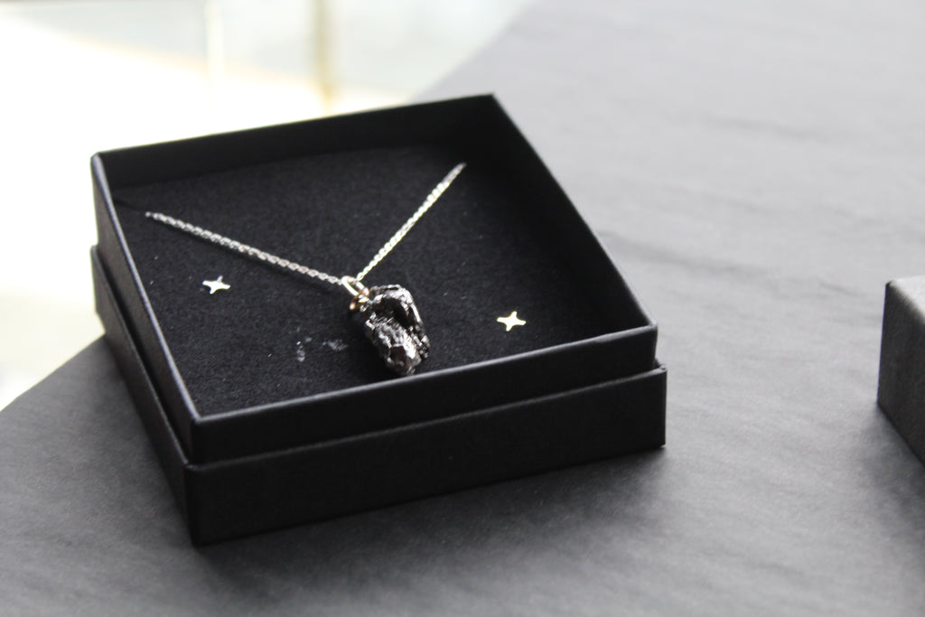 Campo Del Cielo Whole Iron Meteorite Pendant