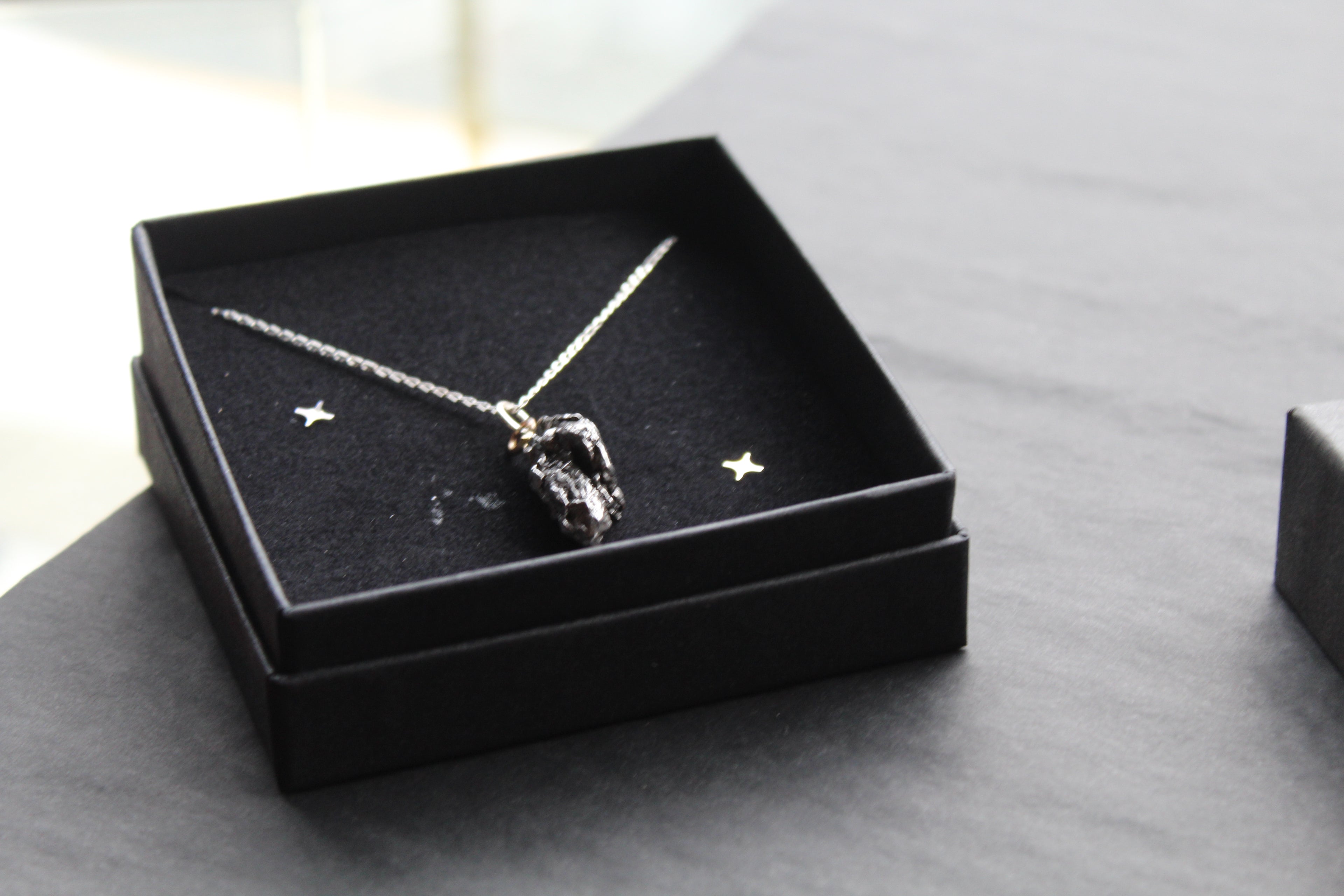 Campo Del Cielo Whole Iron Meteorite Pendant