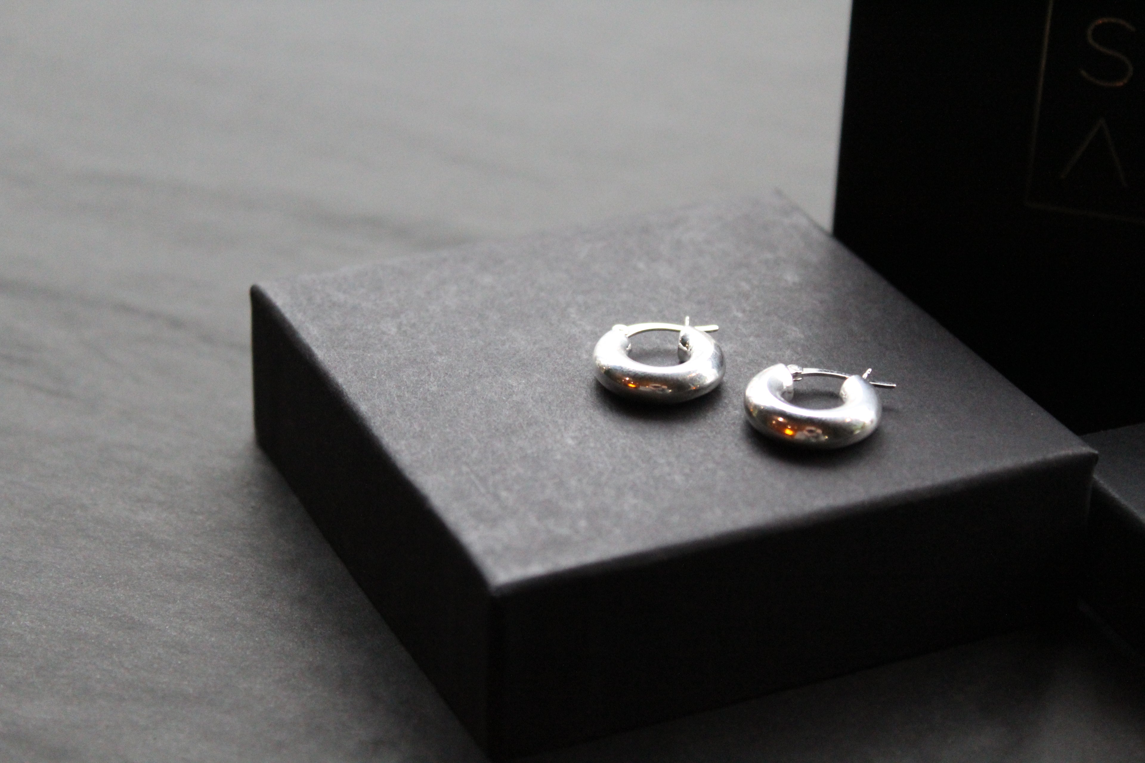 Chunky Hinged Creole Hoops