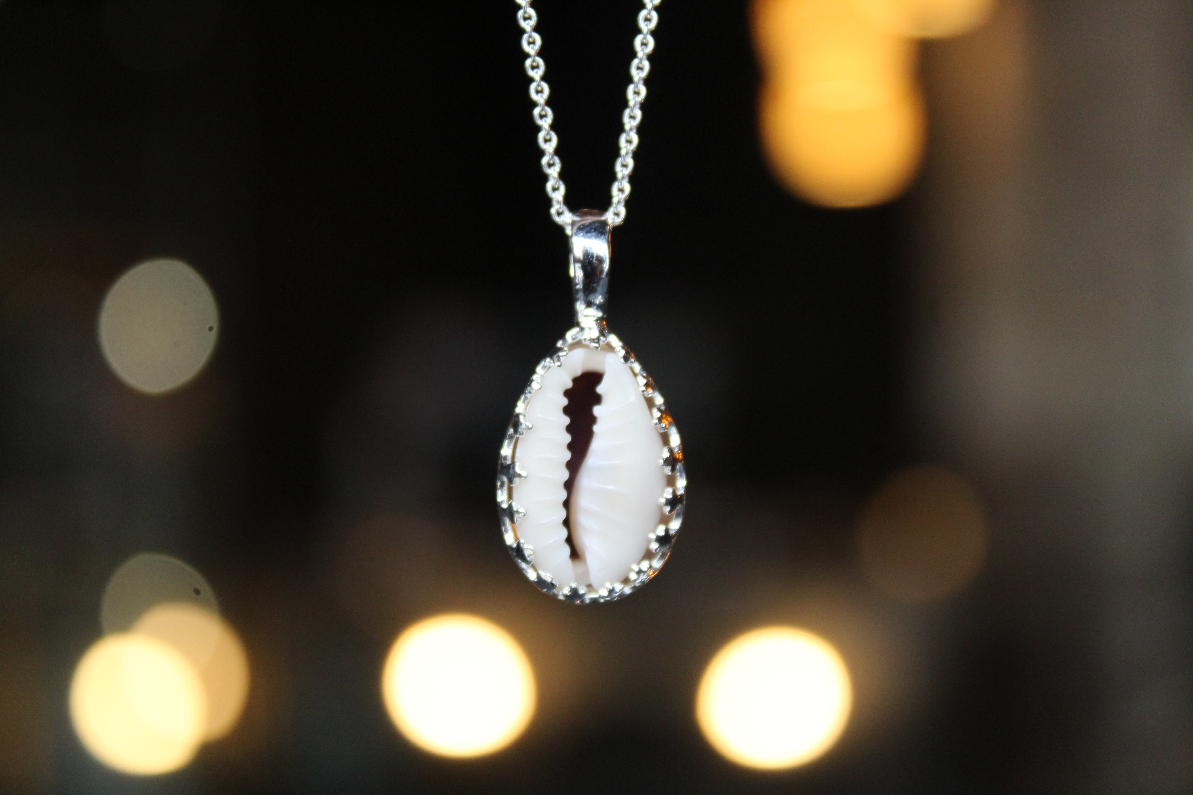 Cowrie Shell Encased in Silver