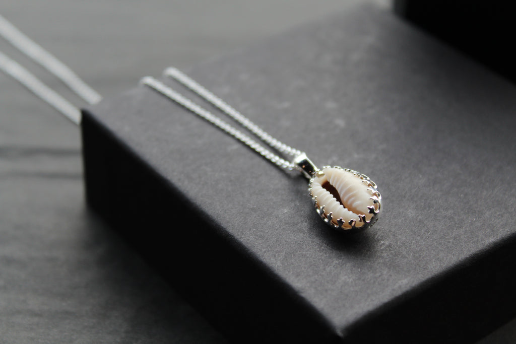 Cowrie Shell Encased in Silver