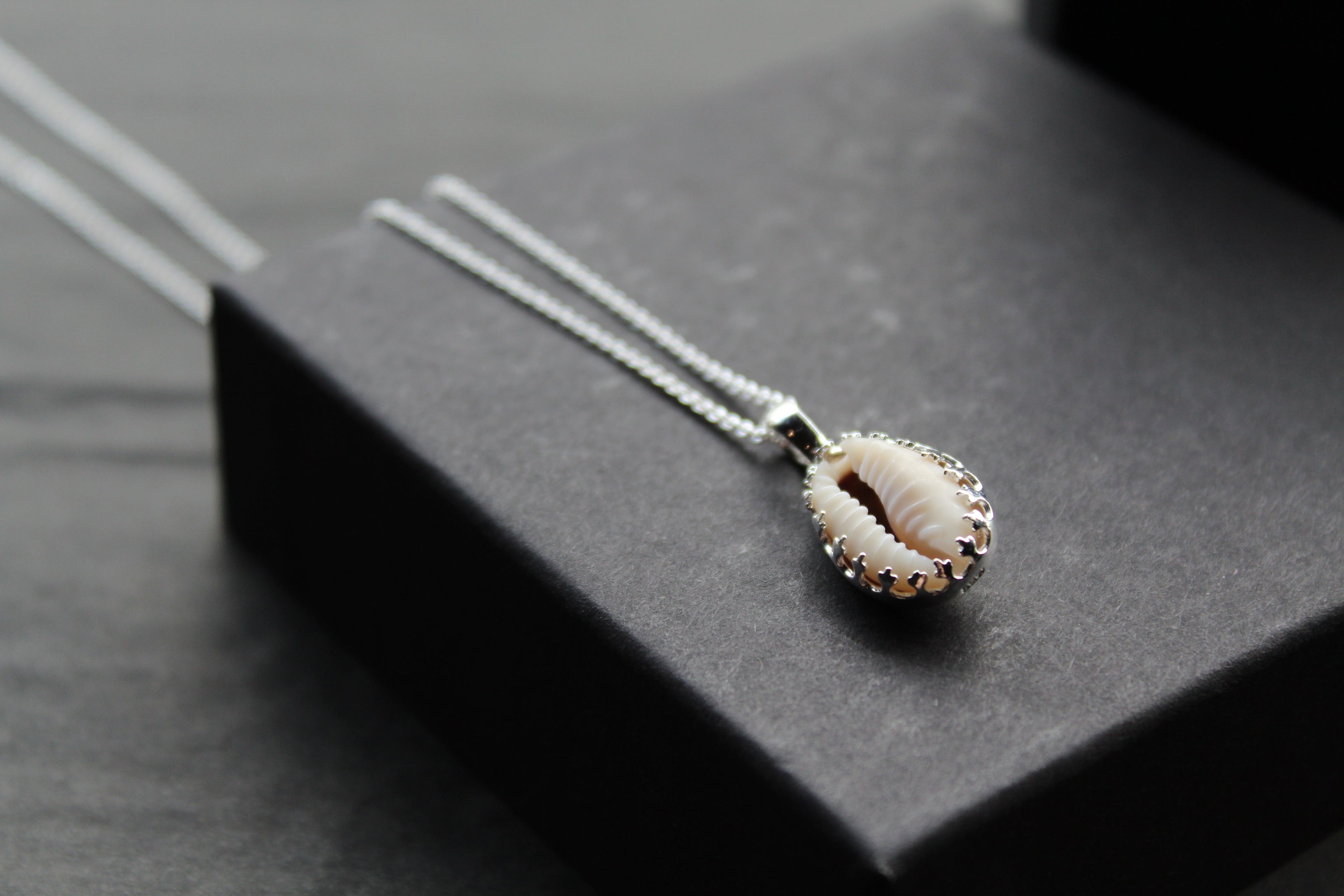 Cowrie Shell Encased in Silver