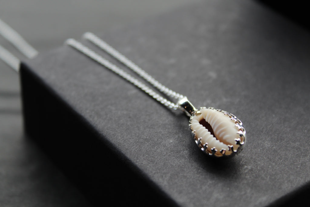 Cowrie Shell Encased in Silver