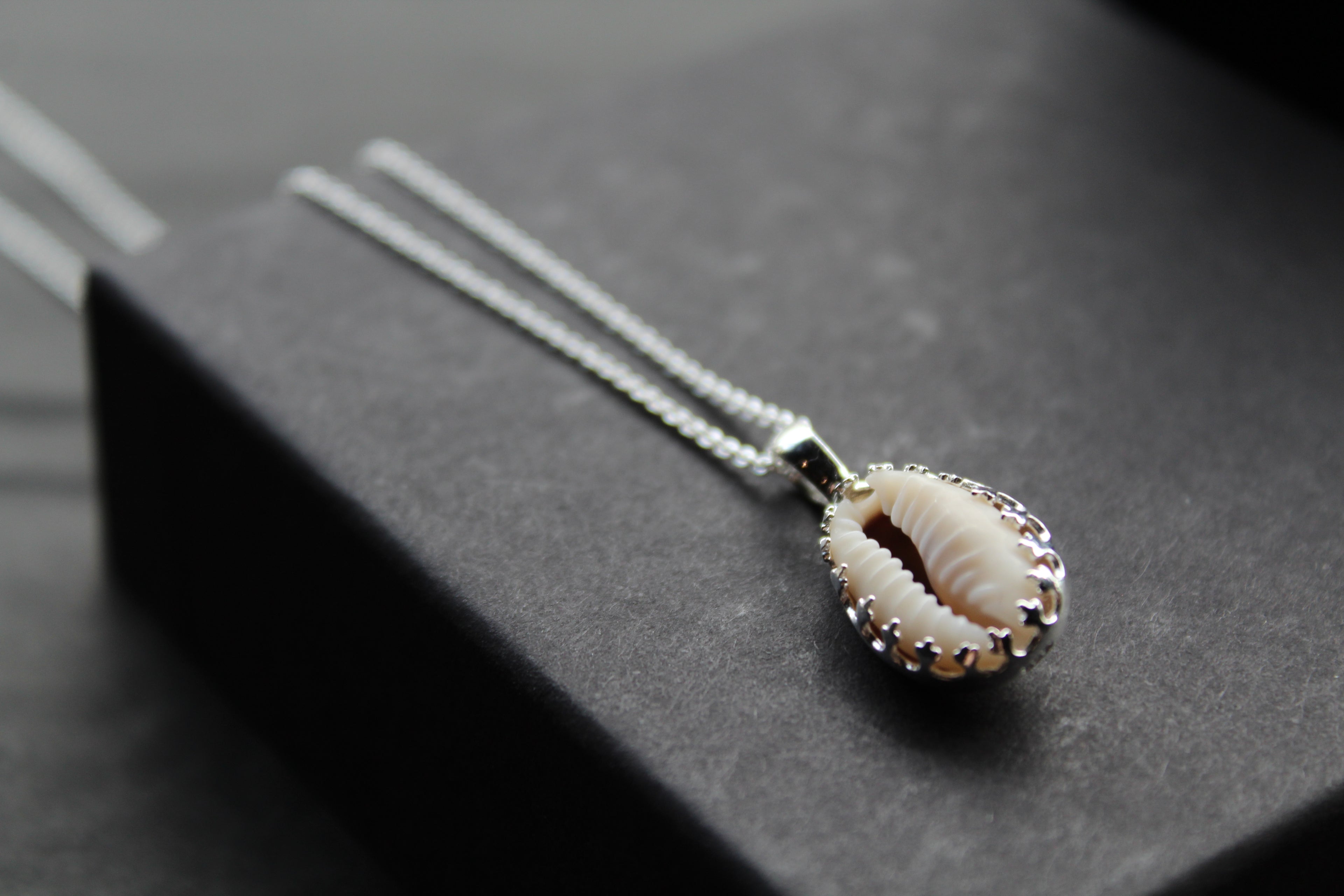 Cowrie Shell Encased in Silver