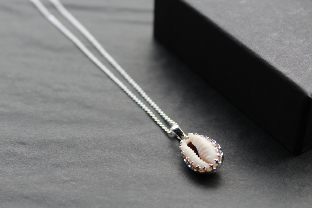 Cowrie Shell Encased in Silver