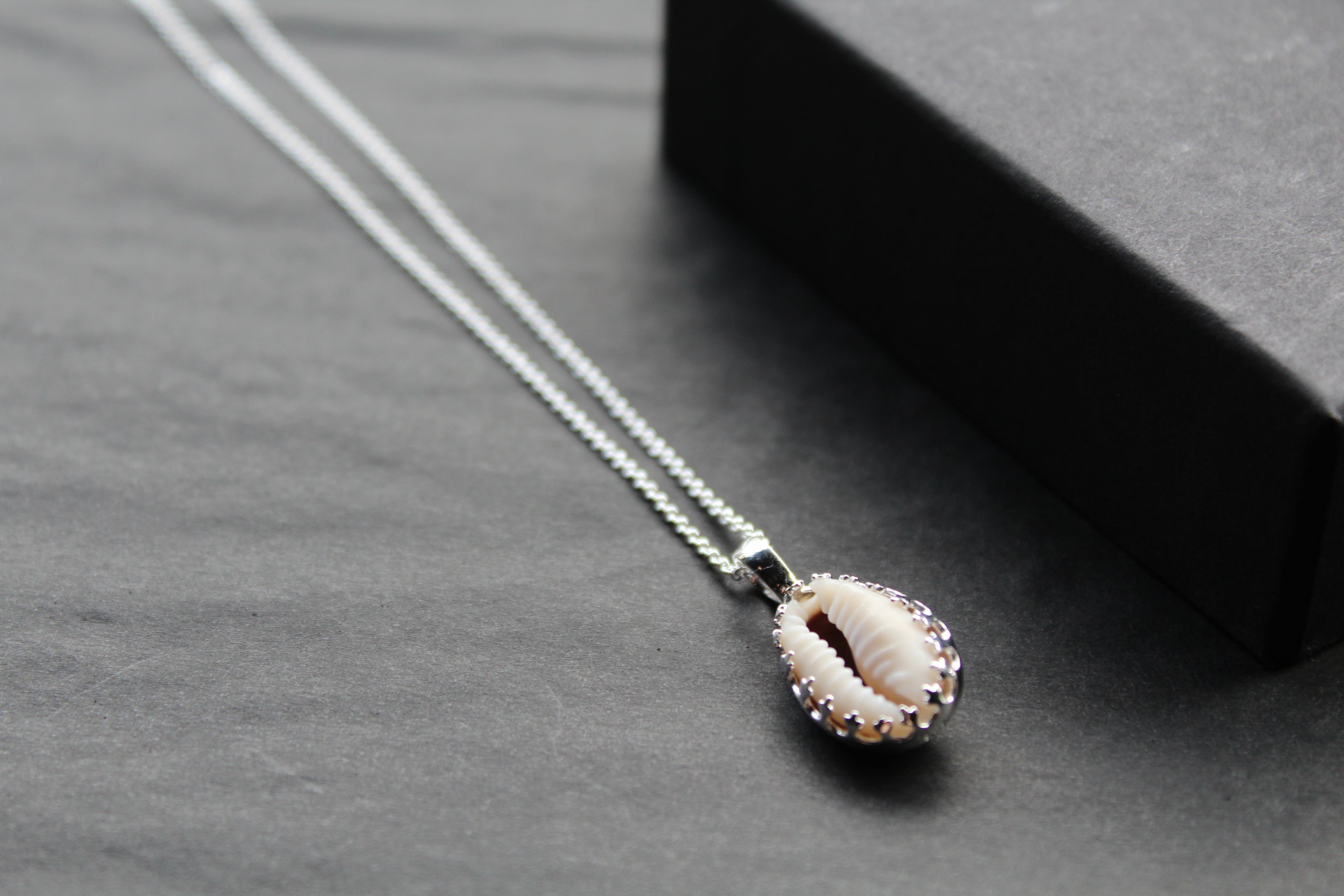 Cowrie Shell Encased in Silver