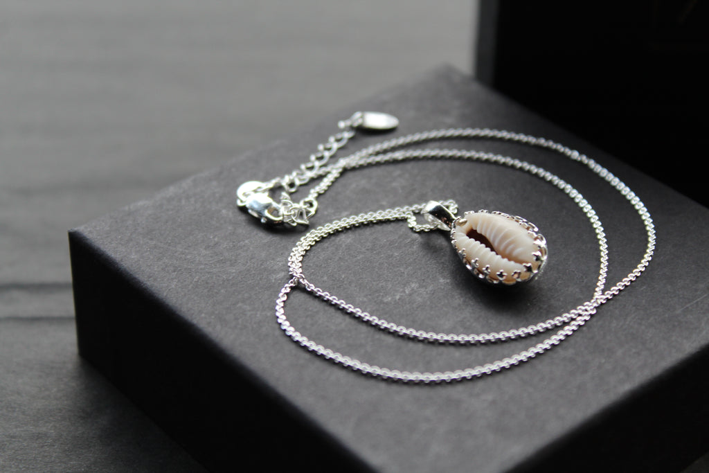 Cowrie Shell Encased in Silver