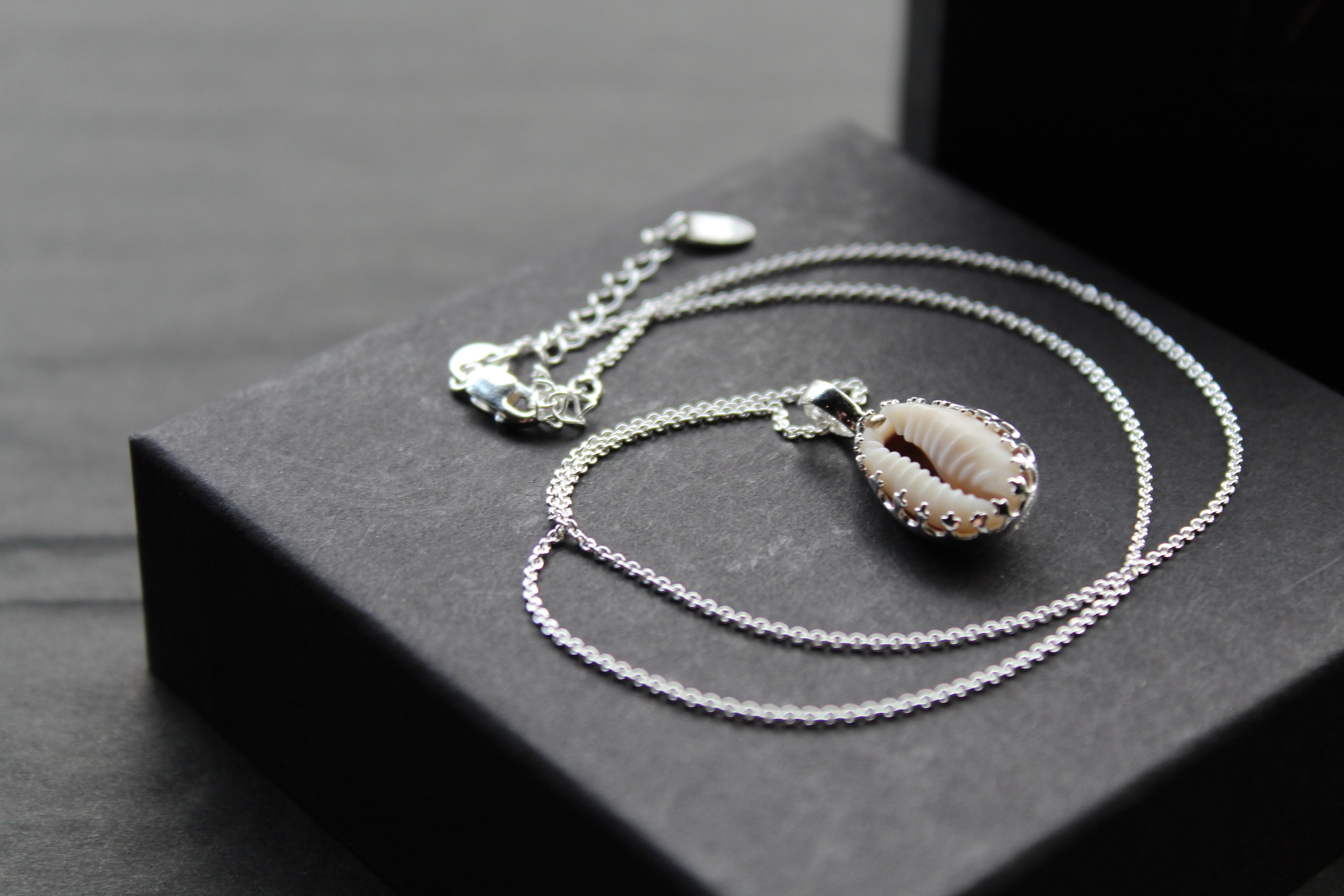 Cowrie Shell Encased in Silver