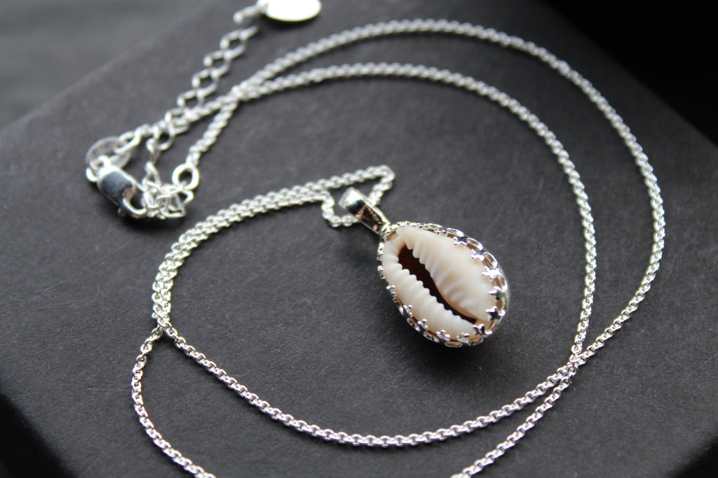 Cowrie Shell Encased in Silver