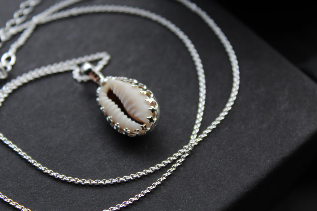 Cowrie Shell Encased in Silver