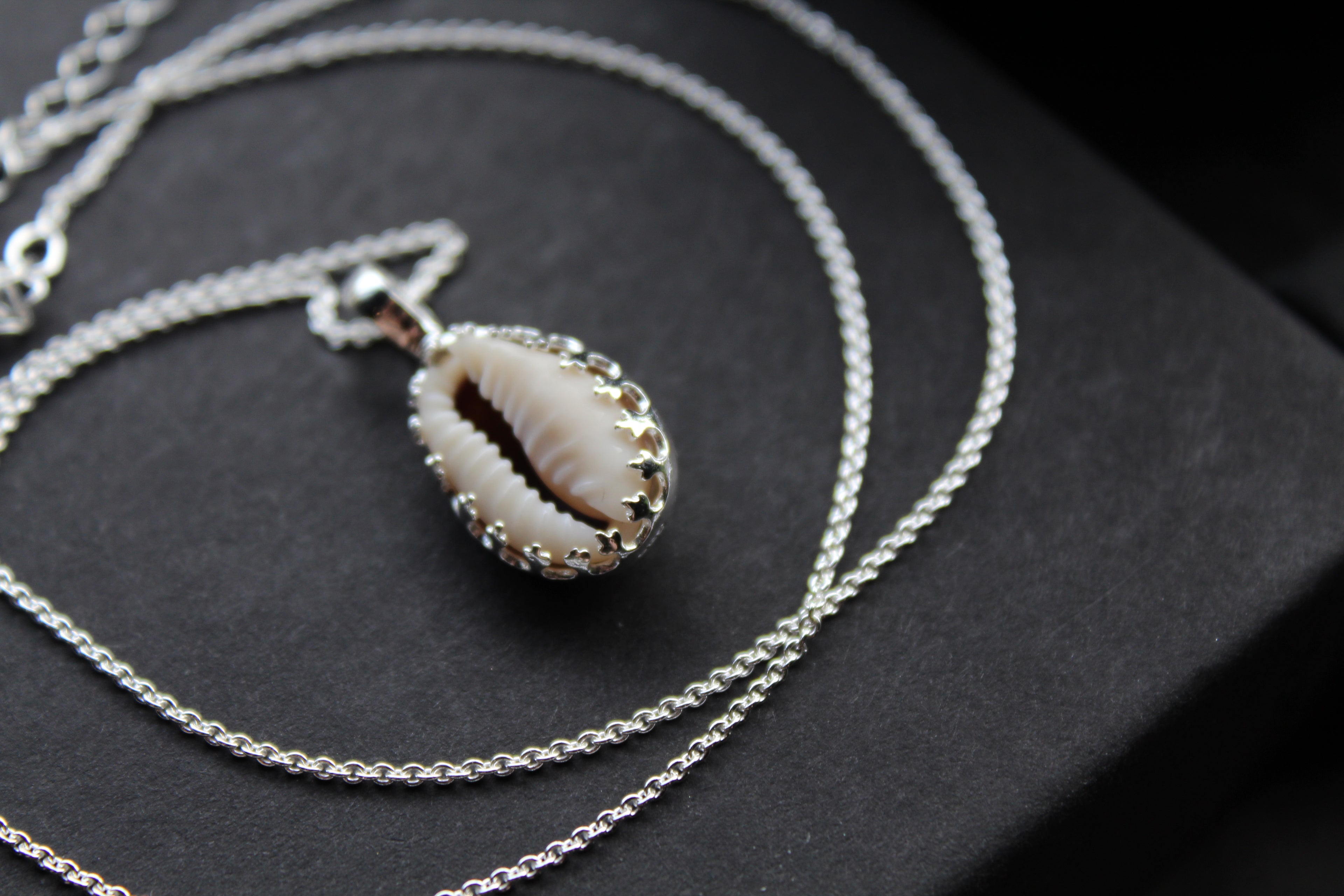 Cowrie Shell Encased in Silver