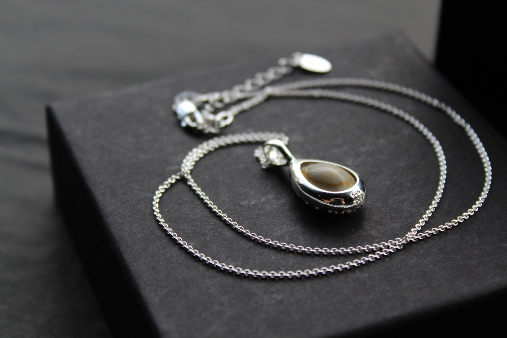 Cowrie Shell Encased in Silver