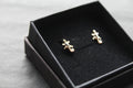 Cubic Zirconia Gecko Studs