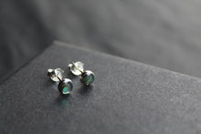 Load image into Gallery viewer, Dainty Abalone Studs
