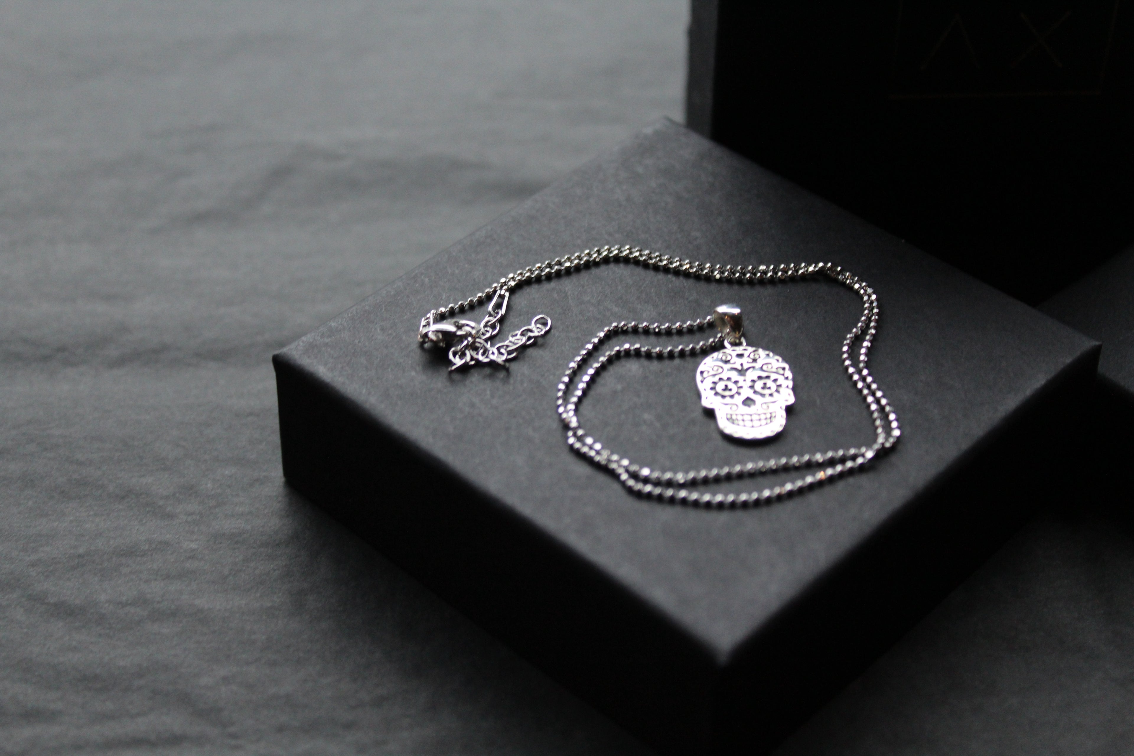 Day Of The Dead Skull Necklace