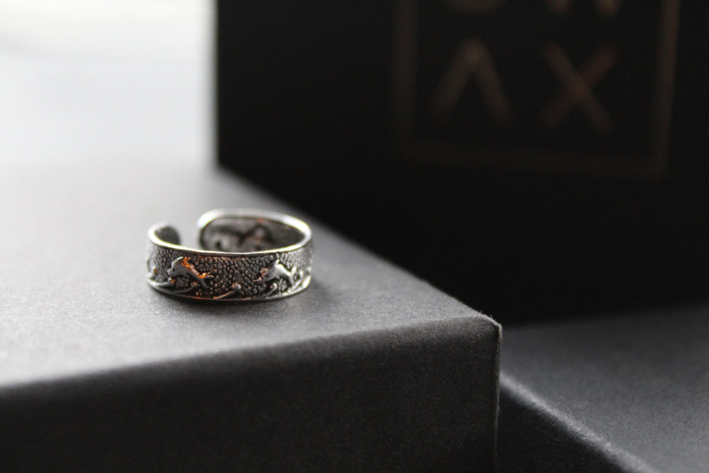 Dolphins Toe Ring