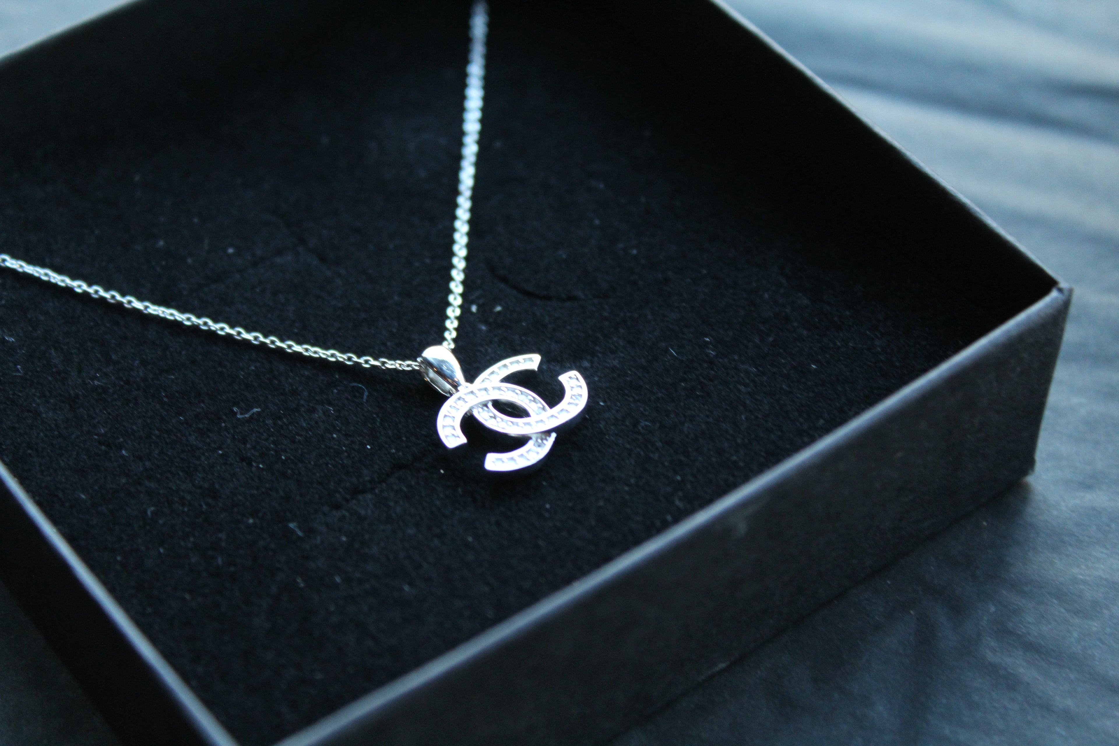 Double Coco Silver Necklace