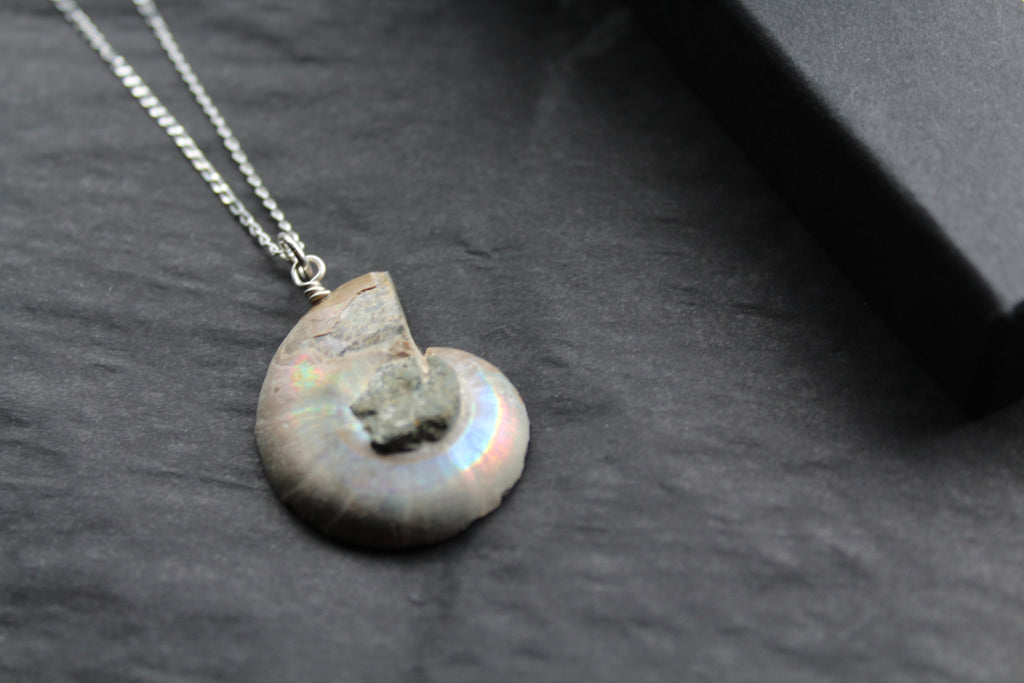 Fossil Ammonite Slice Necklace