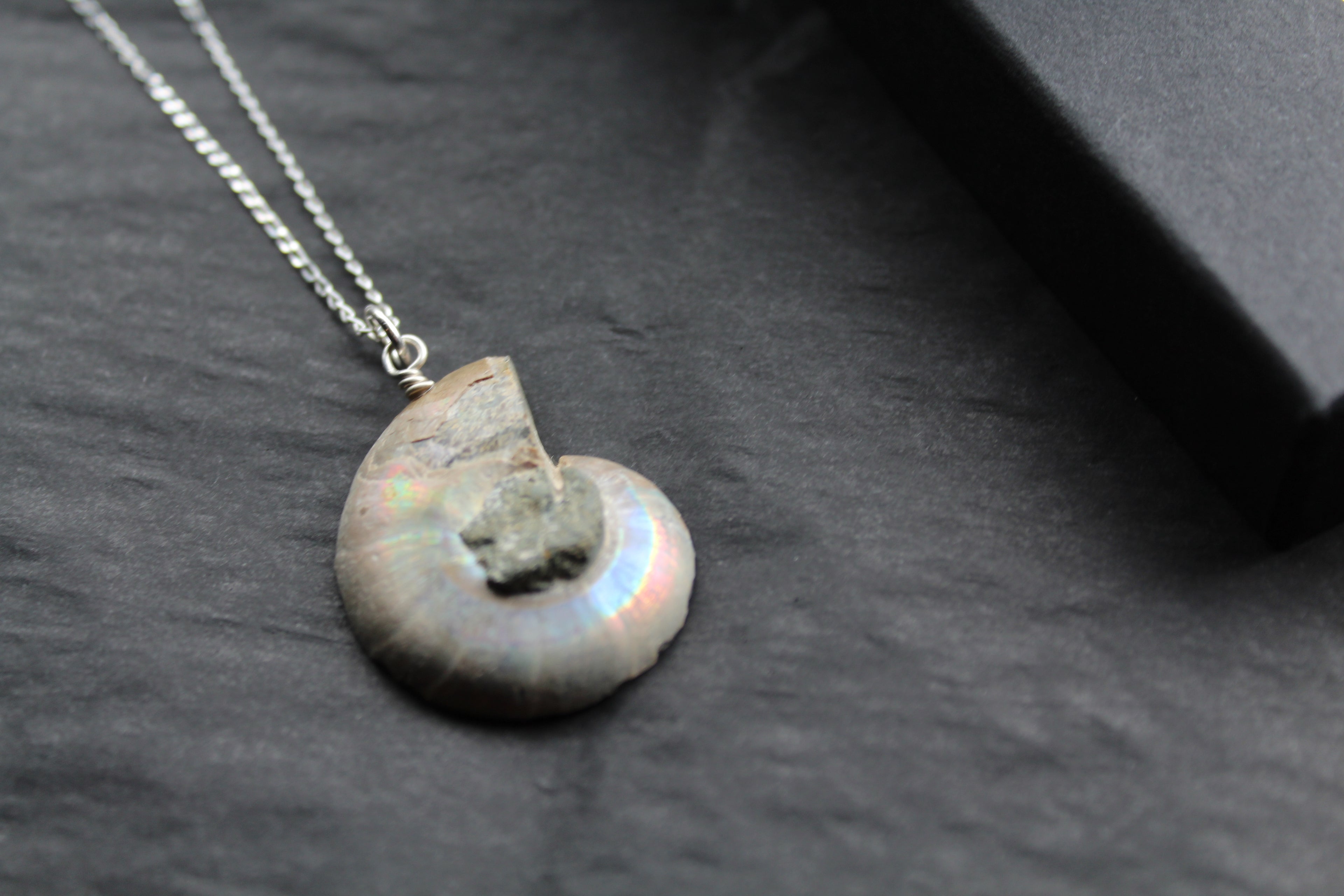 Fossil Ammonite Slice Necklace