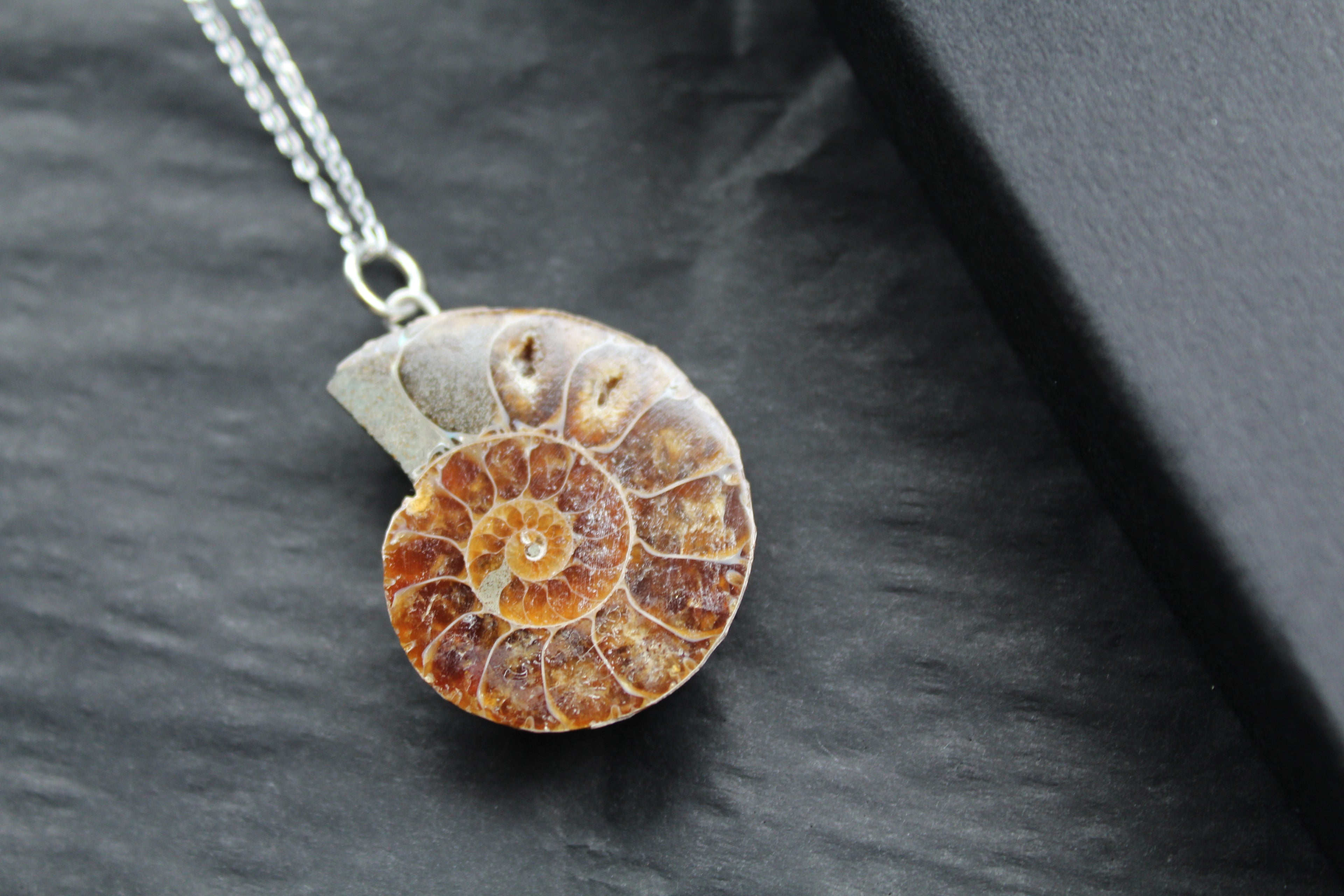 Fossil Ammonite Slice Necklace