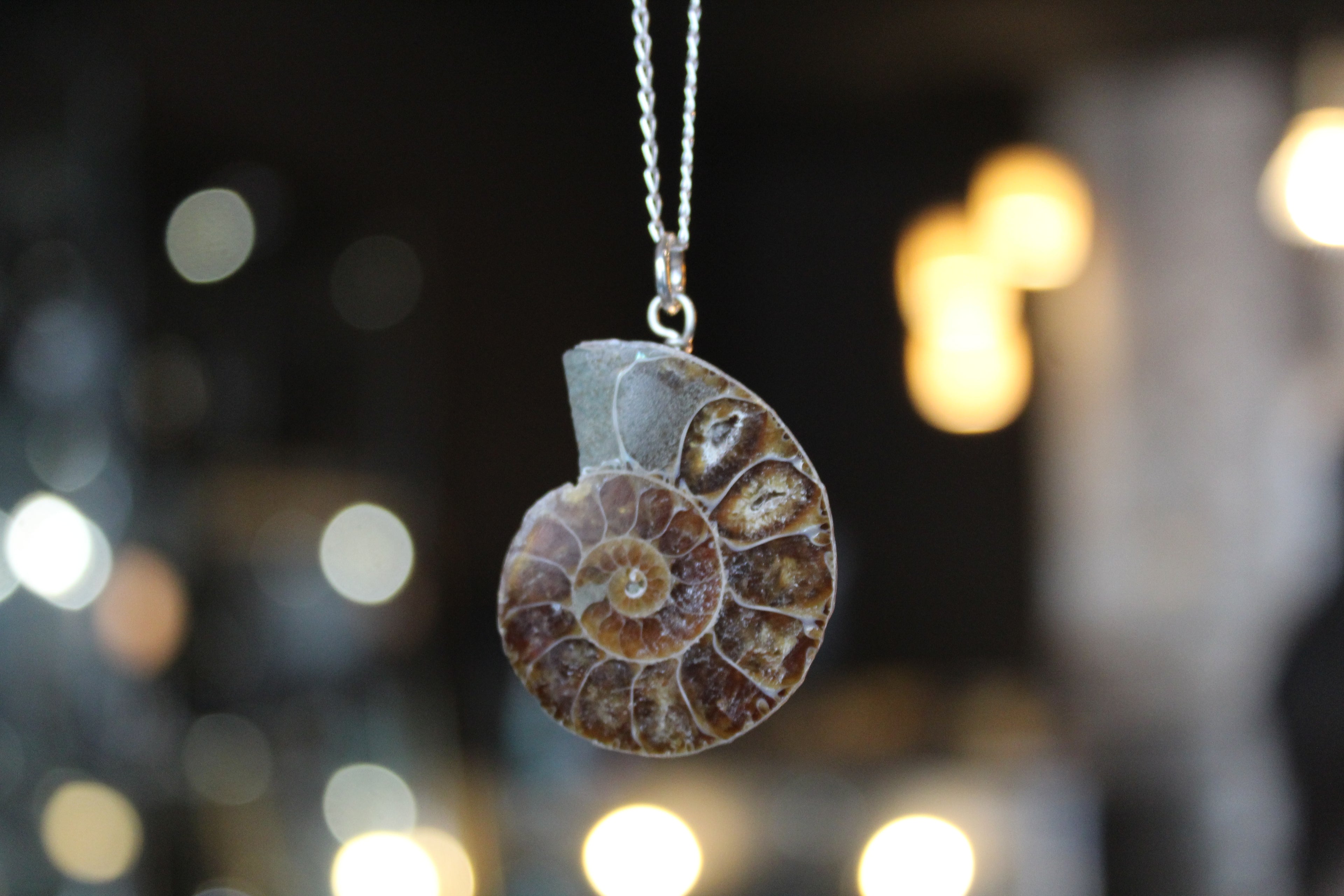 Fossil Ammonite Slice Necklace