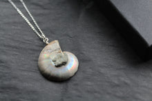 Load image into Gallery viewer, Fossil Ammonite Slice Necklace
