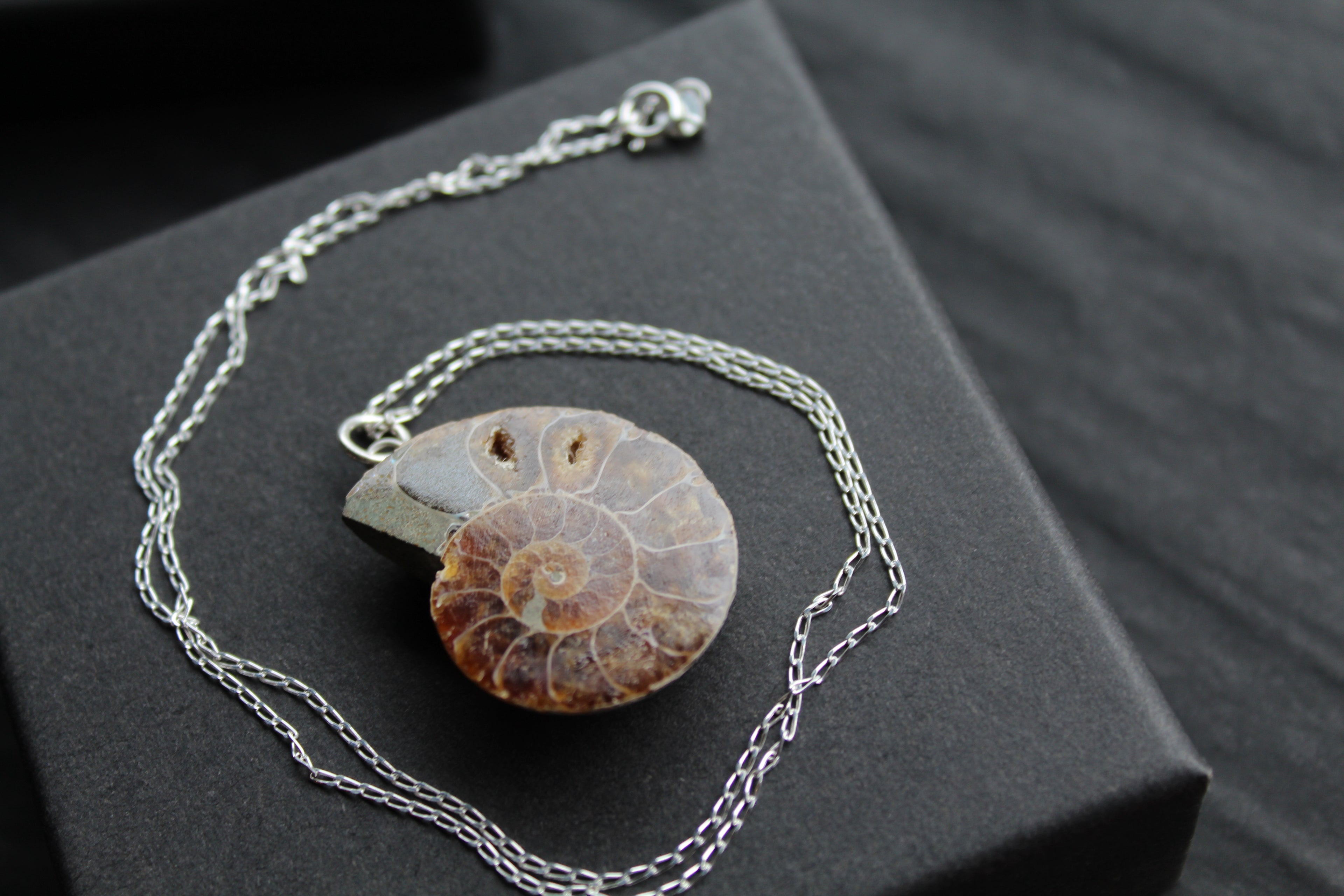 Fossil Ammonite Slice Necklace