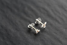 Load image into Gallery viewer, Holly Studs with Rose Gold Plated Berries
