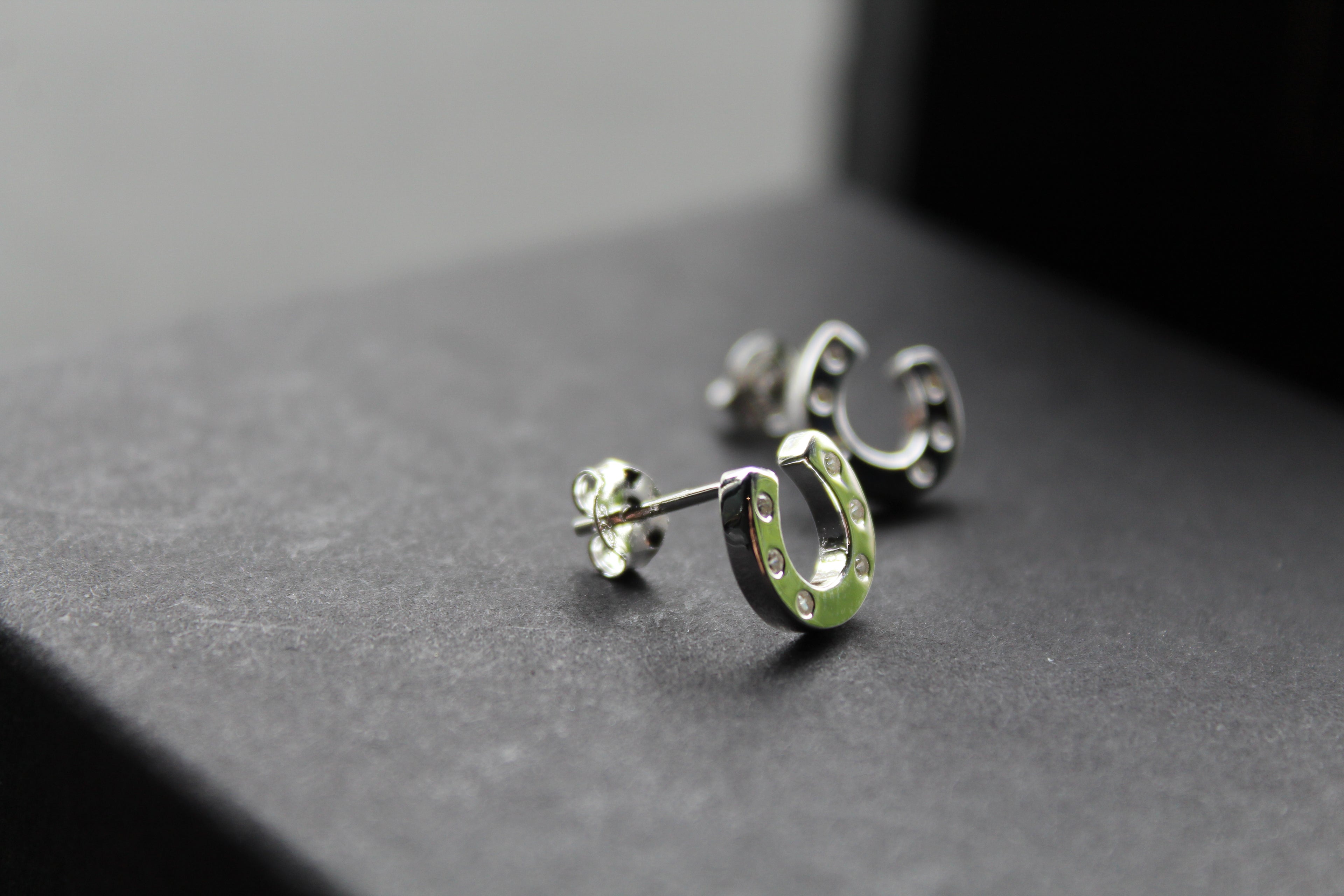 Horseshoe and Pavé Earrings