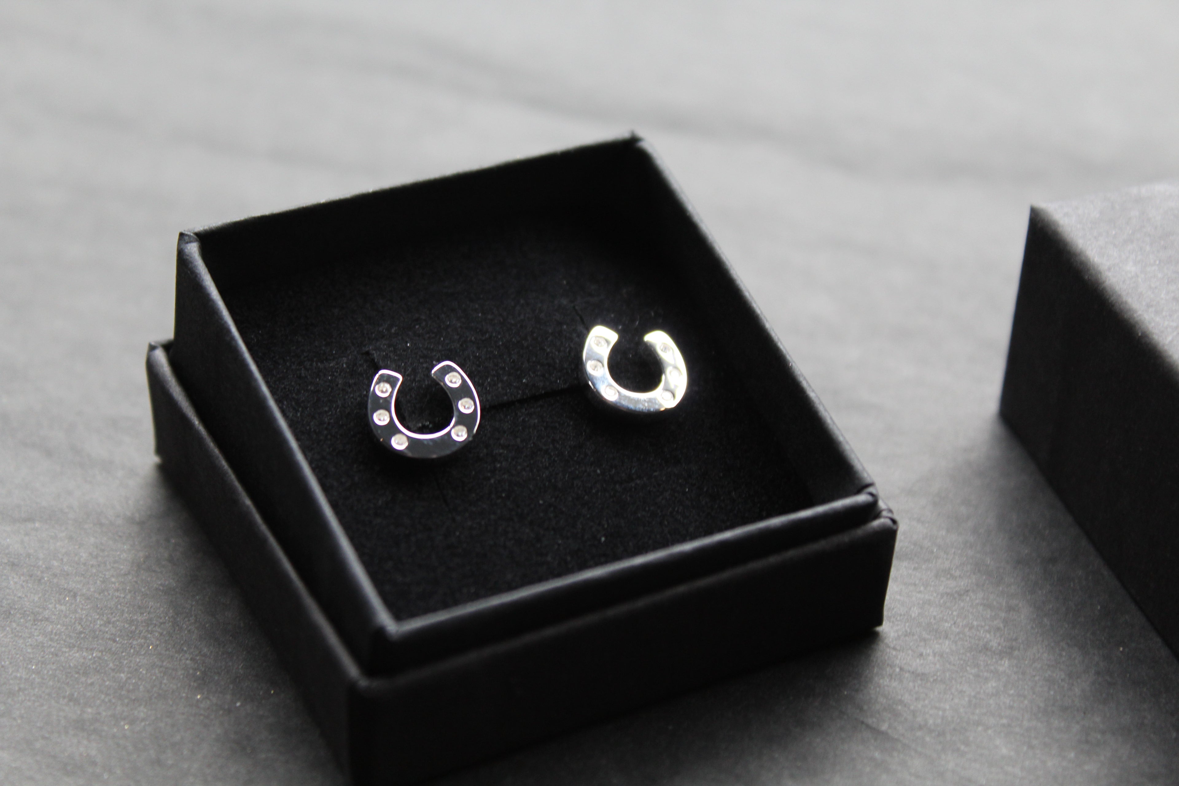 Horseshoe and Pavé Earrings