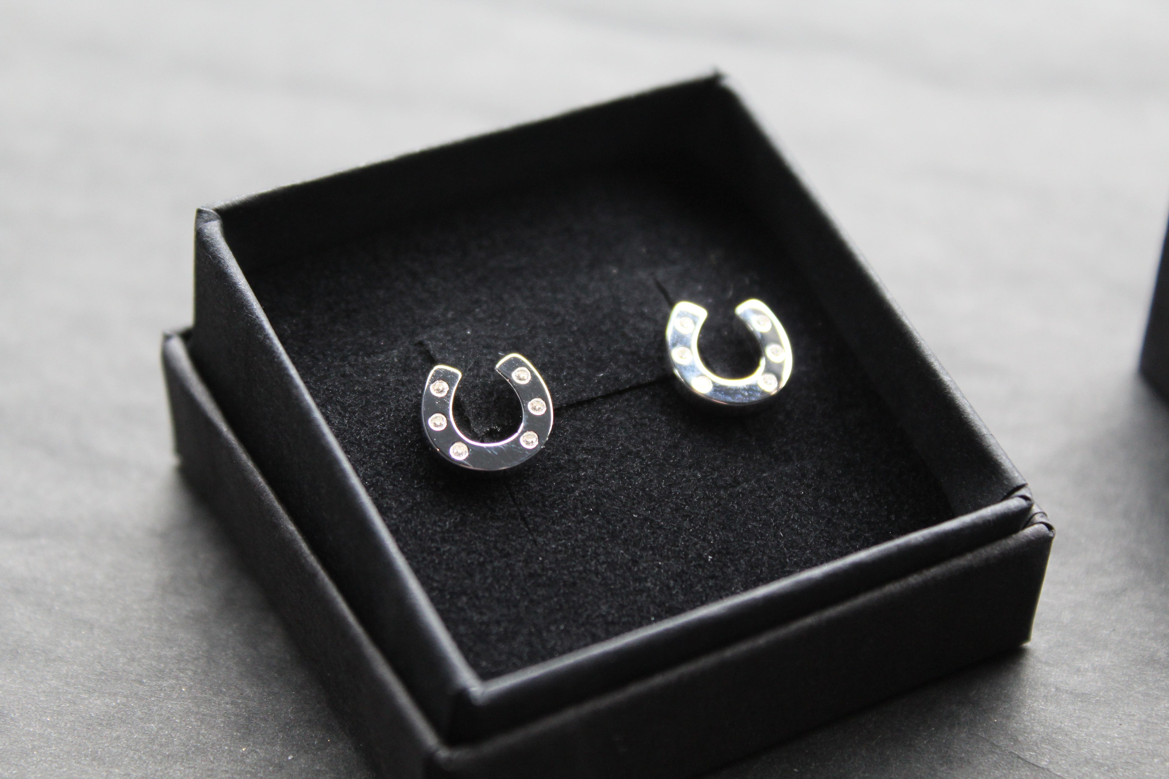 Horseshoe and Pavé Earrings