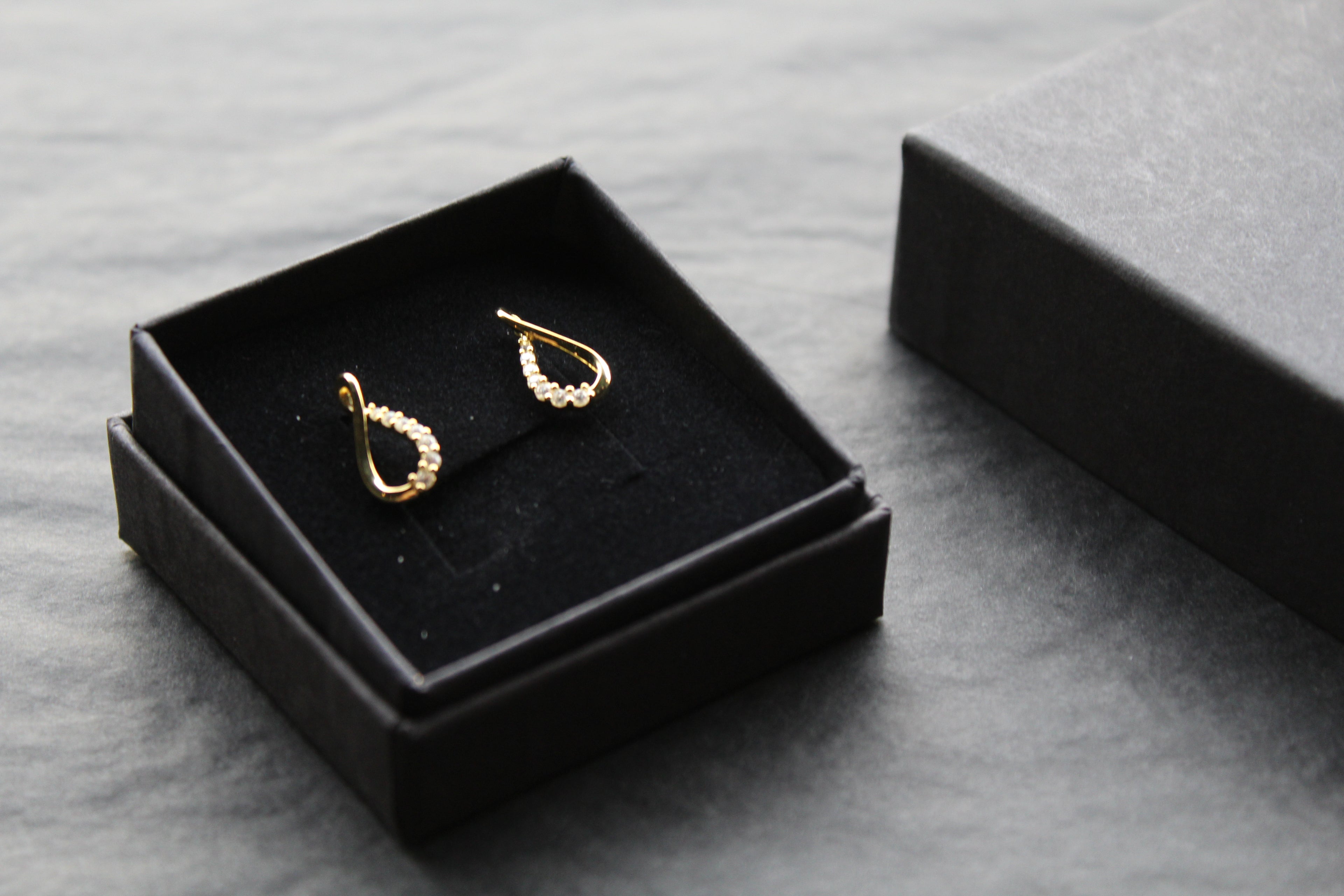 Infinity Cubic Zirconia Earrings
