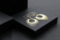 Large Brass Full Sun Statement Earrings