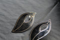 Laurel Leaf Earrings