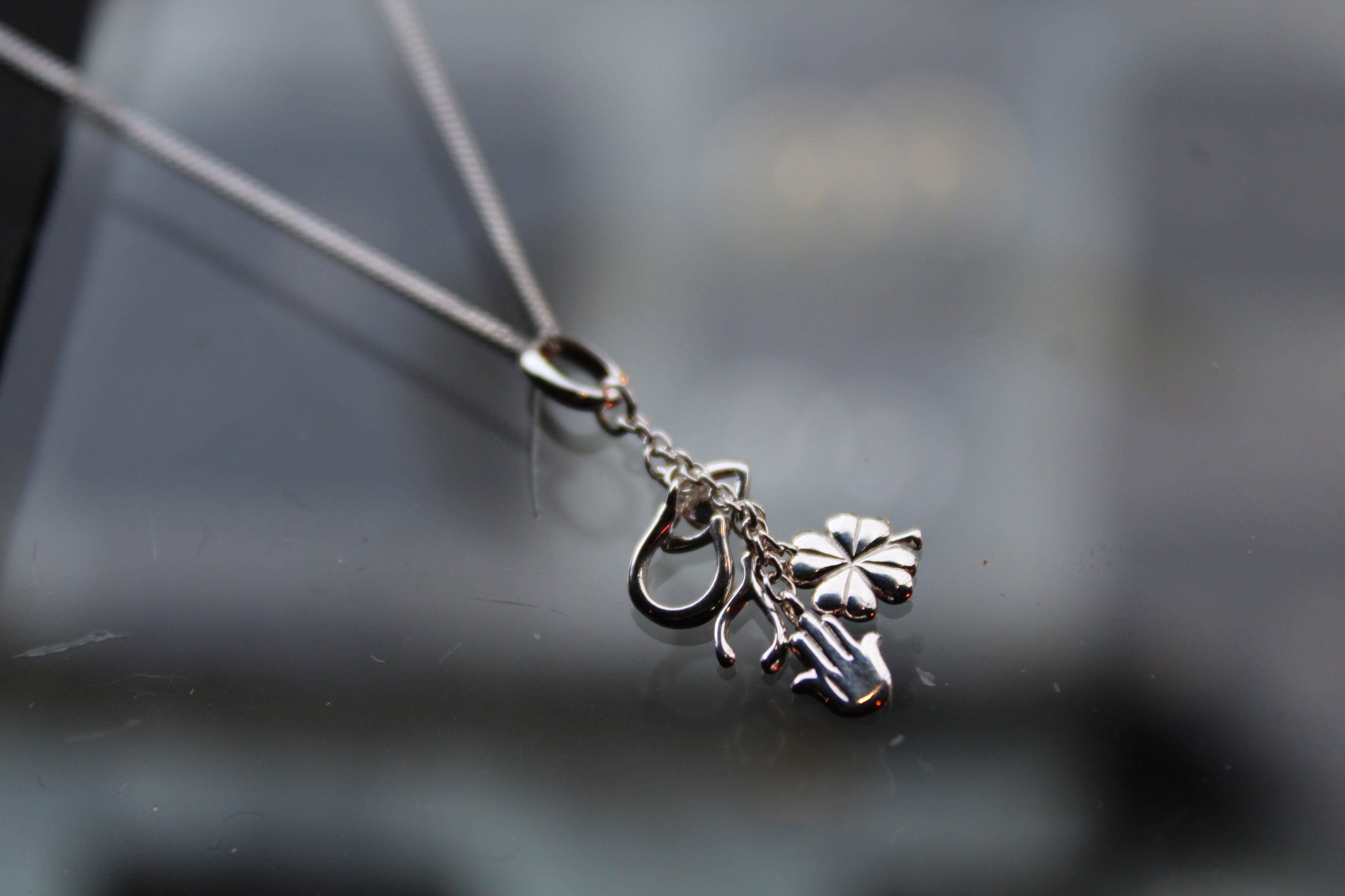 Lucky Charms Silver Necklace