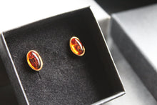 Load image into Gallery viewer, Oval Cognac Amber Studs
