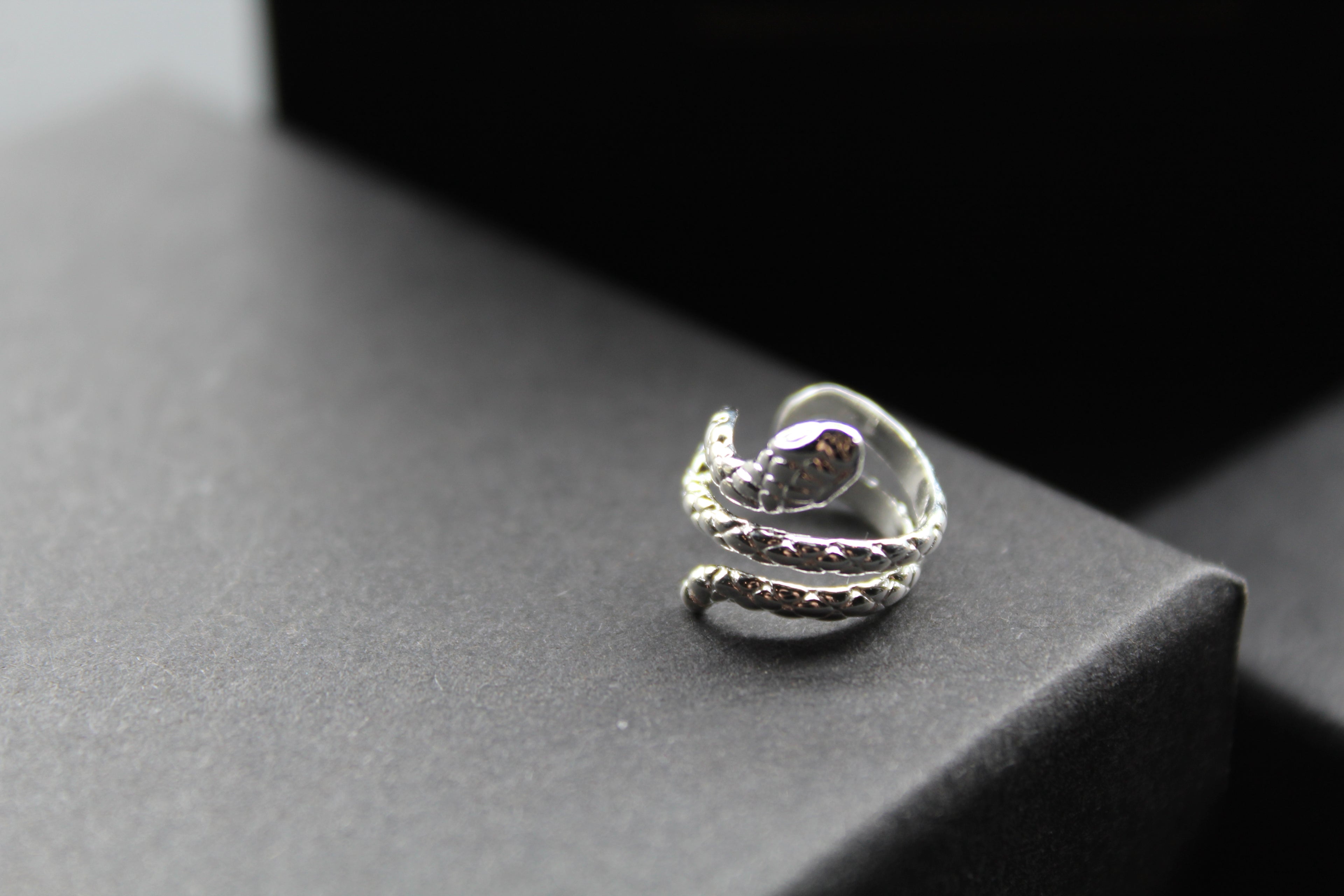 Serpent Ear Cuffs