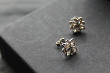 Load image into Gallery viewer, Silver CZ Shine Bright Earrings
