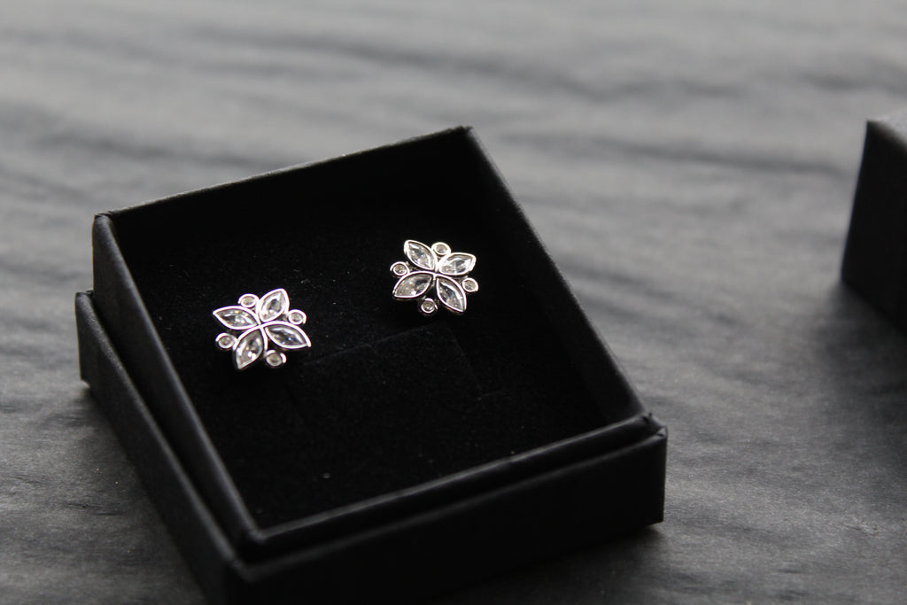 Silver CZ Shine Bright Earrings